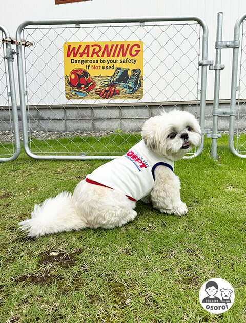【DOG WEAR】DOG DEPT USA LOGO　ノースリーブ
