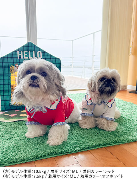 ヴィンテージフラワーカラーTシャツ      犬服ブランドのドッグデプト/DOG DEPT
