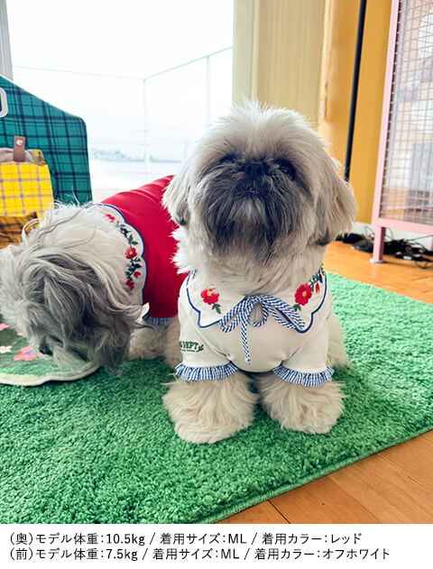 ヴィンテージフラワーカラーTシャツ      犬服ブランドのドッグデプト/DOG DEPT