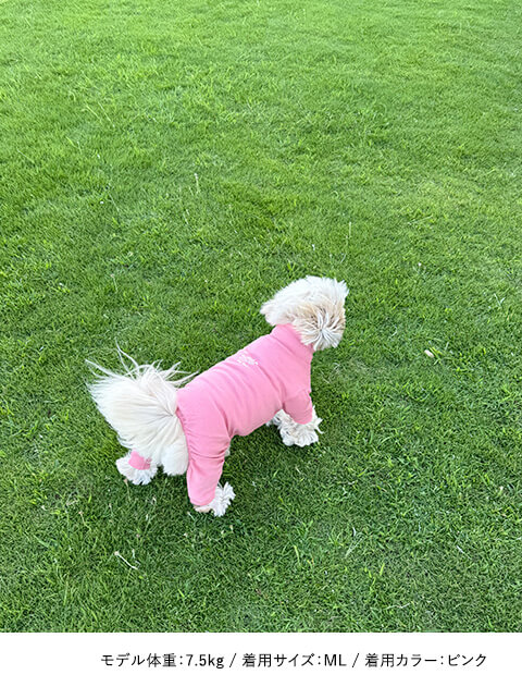 CHILL ロンパース犬服ブランドのドッグデプト/DOG DEPT