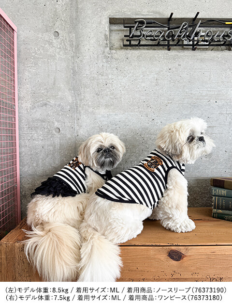 DOG DEPT Magic School ノースリーブ      犬服ブランドのドッグデプト/DOG DEPT