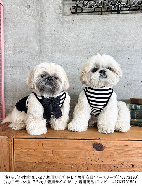 DOG DEPT Magic School ノースリーブ      犬服ブランドのドッグデプト/DOG DEPT
