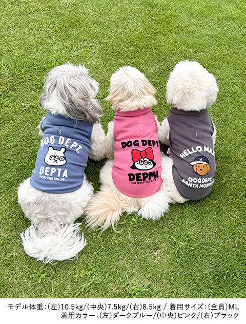 ダンボール カットシャツ 犬服ブランドのドッグデプト/DOG DEPT