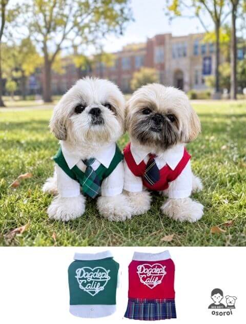 【DOG WEAR】カレッジスクールルック