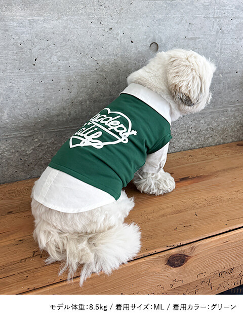 カレッジスクールルック      犬服ブランドのドッグデプト/DOG DEPT