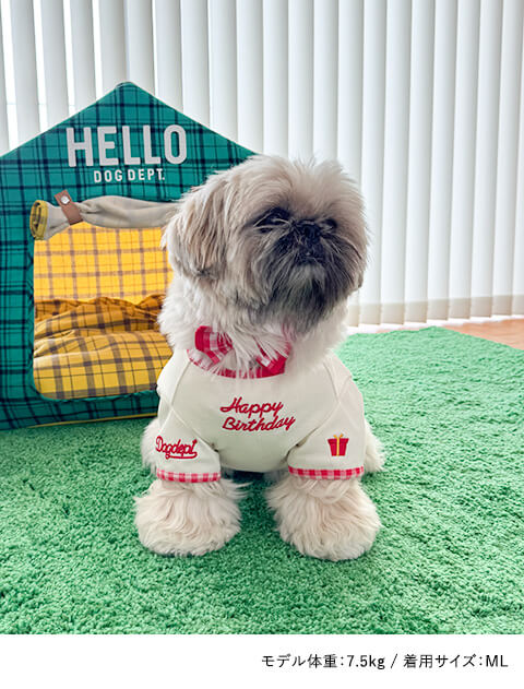 Sweet Birthday Heart  T      犬服ブランドのドッグデプト/DOG DEPT