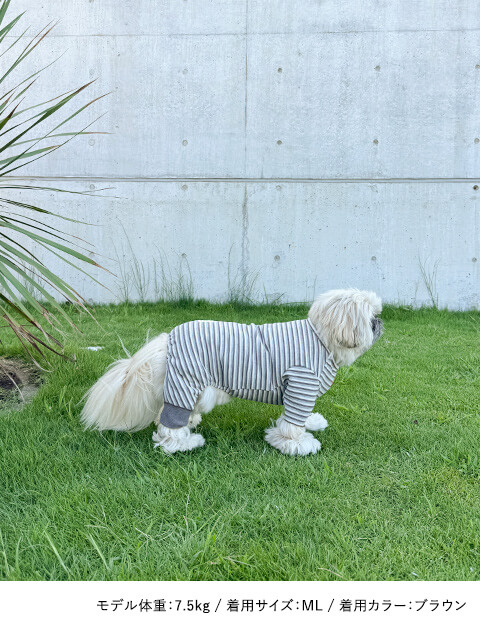 D warm ボーダーロンパース犬服ブランドのドッグデプト/DOG DEPT