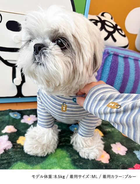 D warm ボーダーロンパース犬服ブランドのドッグデプト/DOG DEPT