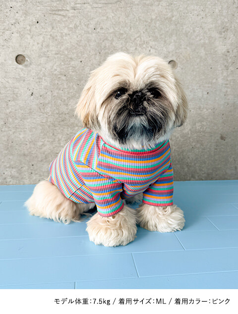 マルチボーダーリブタートル犬服ブランドのドッグデプト/DOG DEPT