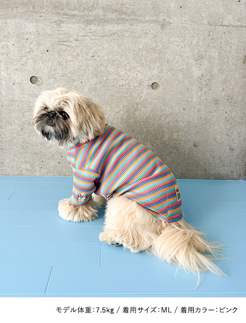 マルチボーダーリブタートル犬服ブランドのドッグデプト/DOG DEPT