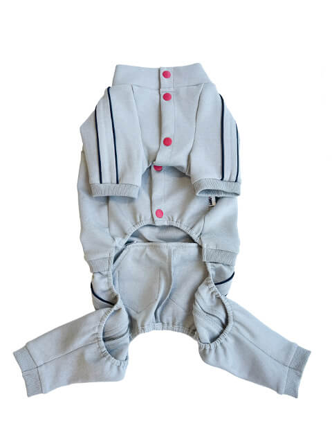 コードパイピングセットアップ      犬服ブランドのドッグデプト/DOG DEPT