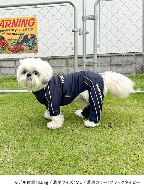 コードパイピングセットアップ      犬服ブランドのドッグデプト/DOG DEPT