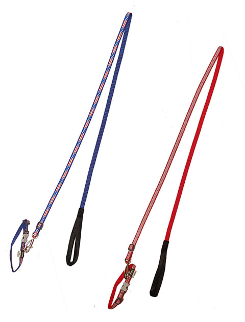 《期間限定アウトレット》【DOG GOODS】REDDINGOコラボ リード&カラーセット