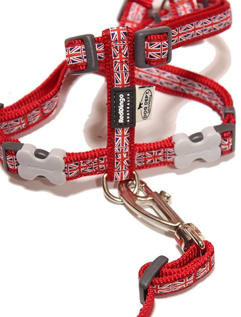 リード＆ハーネス2点SET❗️レッドミニタリー DOG GOODS】REDDINGOコラボ リード&ハーネスセット