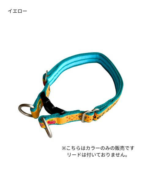 パステルゼブラリード＆カラーセット ブランドのドッグデプト/DOG DEPT