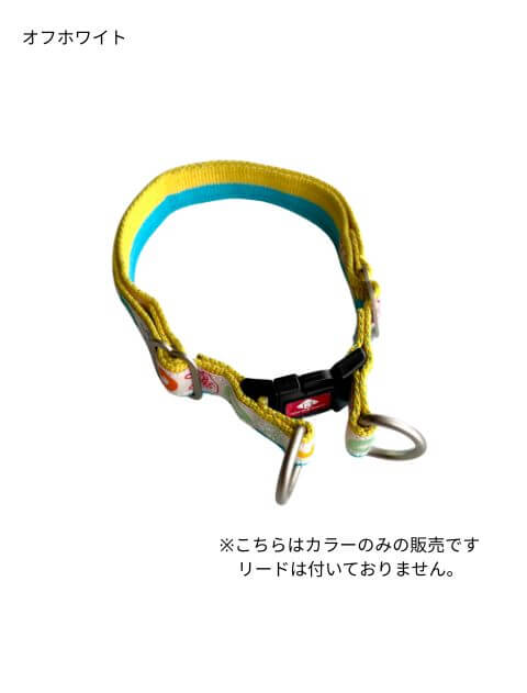 パステルゼブラリード＆カラーセット ブランドのドッグデプト/DOG DEPT