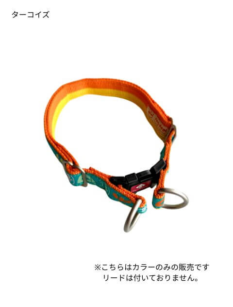 パステルゼブラリード＆カラーセット ブランドのドッグデプト/DOG DEPT