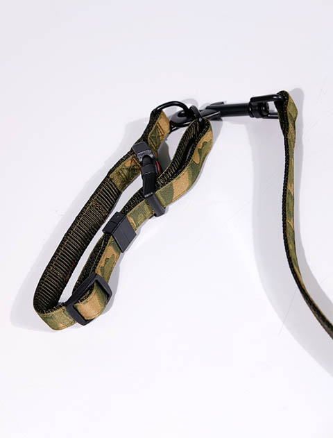 NATURE DESIGN リード&カラーセット