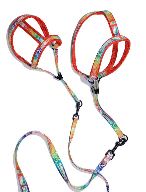 総柄ロゴ　リード&ライトハーネスセット ブランドのドッグデプト/DOG DEPT