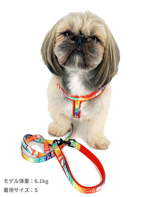 DOG GOODS】総柄ロゴ リード&ライトハーネスセット