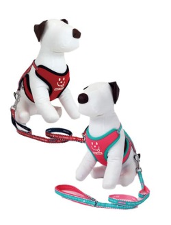 【DOG GOODS】メッセージ　リード＆ソフトハーネスセット