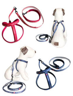 【DOG GOODS】クラシックロゴリード&ライトハーネスセット