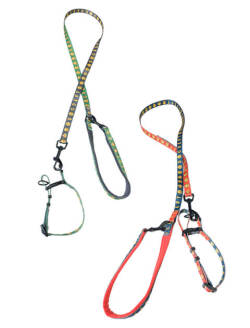 《期間限定アウトレット》【DOG GOODS】スマイルドッグリード＆カラーセット