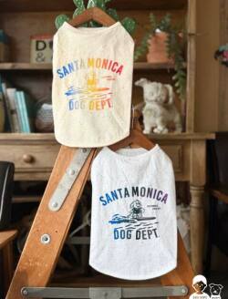 【DOG WEAR】サーフドッグカラーネップTシャツ
