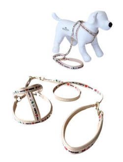 【DOG GOODS】DEPTA&DEPMIリード＆ライトハーネスセット