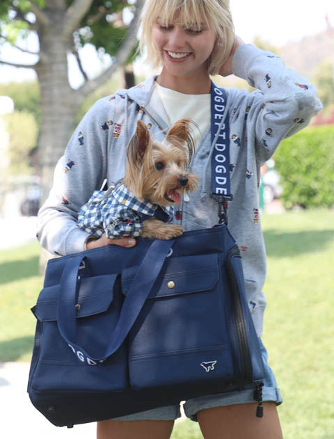 新品未使用　DOG DEPT ドッグデプト コロコロ キャリーネイビー DOG GOODS】コロコロキャリー プレミアム