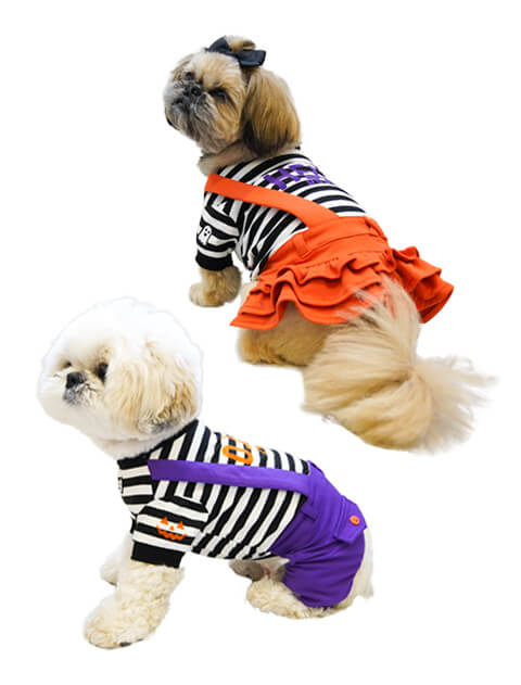 DOG DEPT 配色ステッチボタンスウェット XS 犬服 / ドッグウェア】配色ステッチボタンスウェット / DOG DEPT