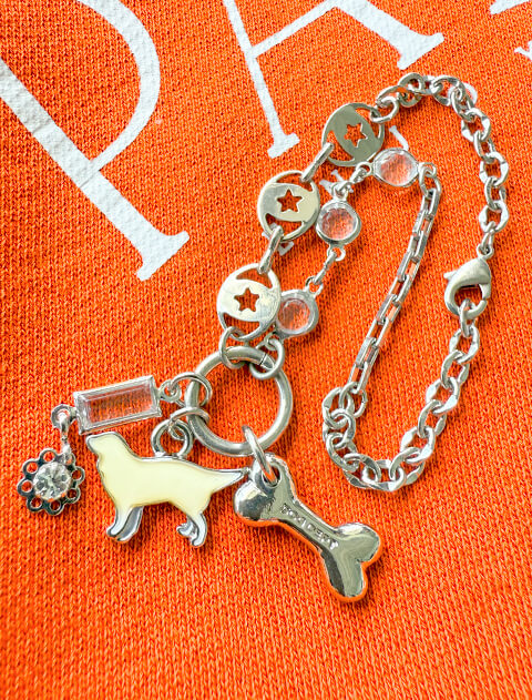 DOG GOODS】GUIDE DOG コラボリード&カラーセット