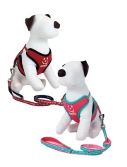 《期間限定アウトレット》【DOG GOODS】メッセージ　リード＆ソフトハーネスセット