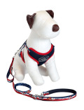 《期間限定アウトレット》【DOG GOODS】HAPPY FAM.　リード＆ソフトハーネスセット