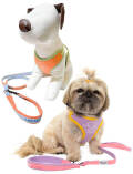 《期間限定アウトレット》【DOG GOODS】スウェットリード＆ソフトハーネスセット