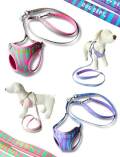 【DOG GOODS】パステルゼブラリード＆ソフトハーネスセット