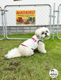 【DOG WEAR】DOG DEPT USA LOGO　ノースリーブ