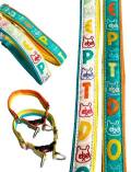 《期間限定アウトレット》【DOG GOODS】DEPTAカラー