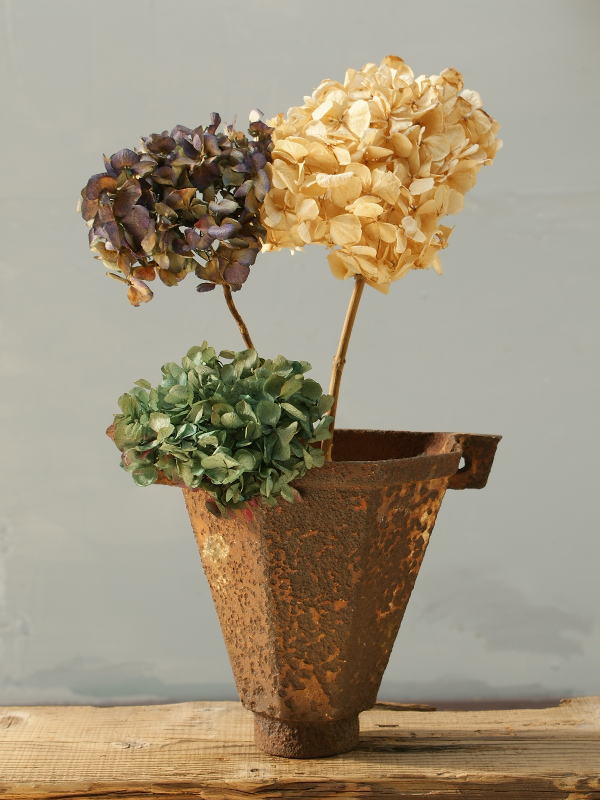 イギリス アンティーク ドレインホッパー 壁掛けプランター10084