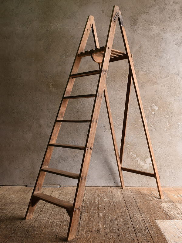 イギリス アンティーク ステップラダー 脚立 ディスプレイ 13435