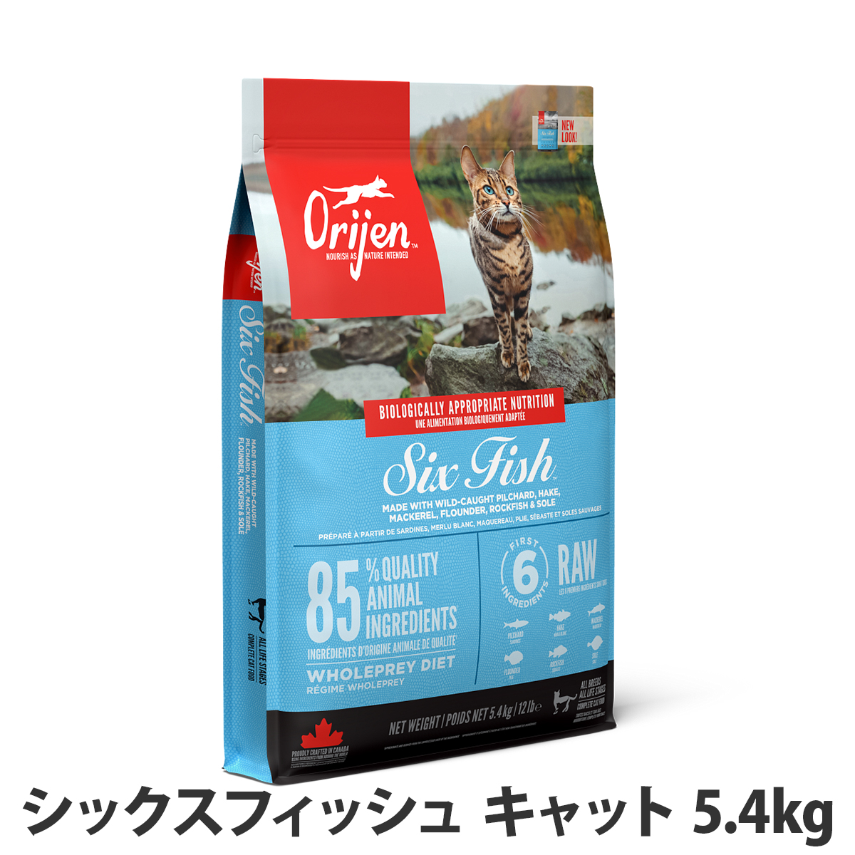 オリジン　シックスフィッシュ　キャット　5.4kg