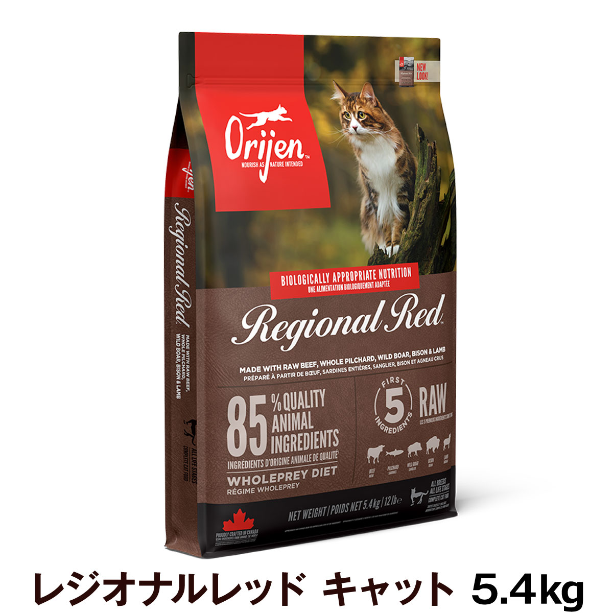 オリジン　レジオナルレッド　キャット　5.4ｋg