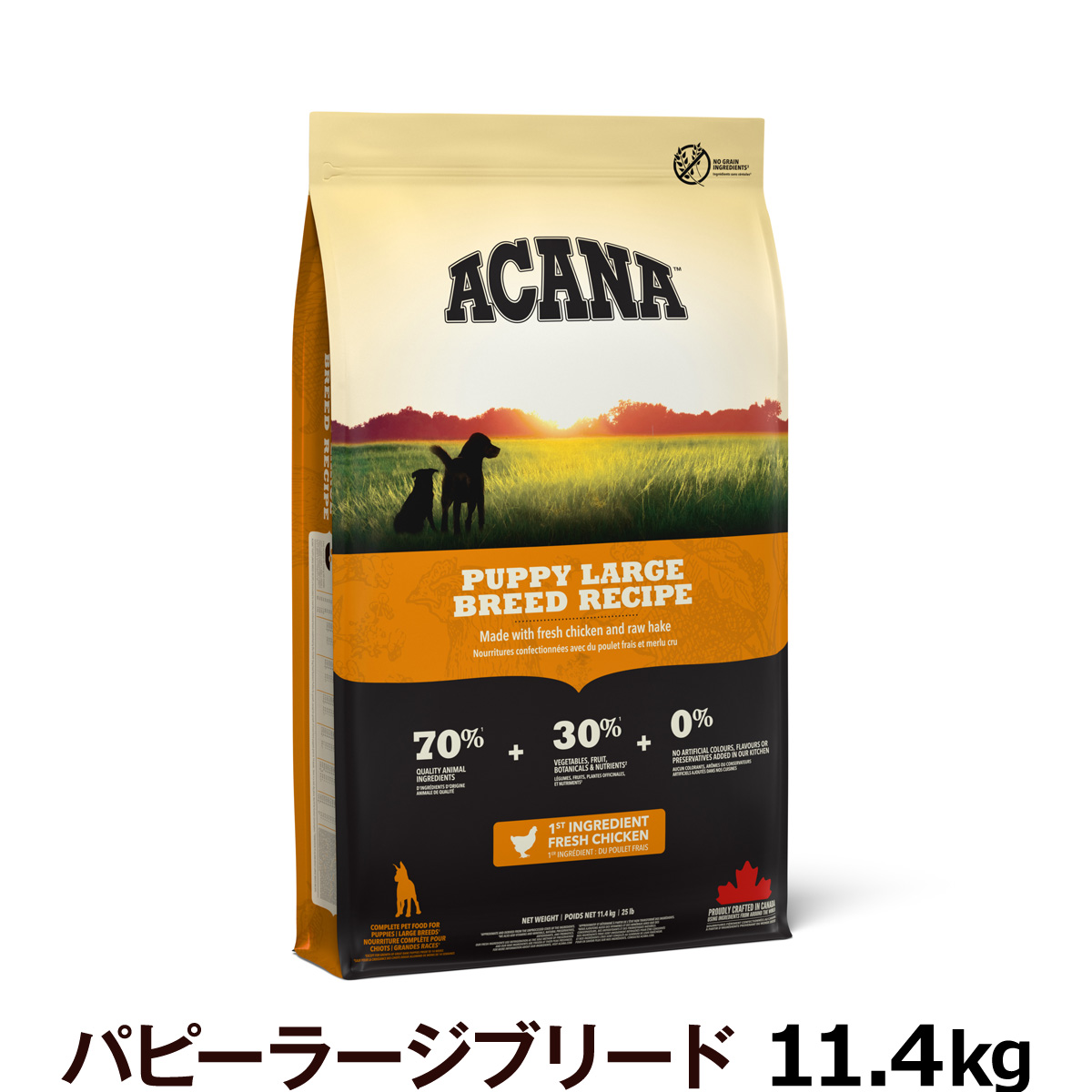 アカナ　パピーラージブリードレシピ　11.4kg
