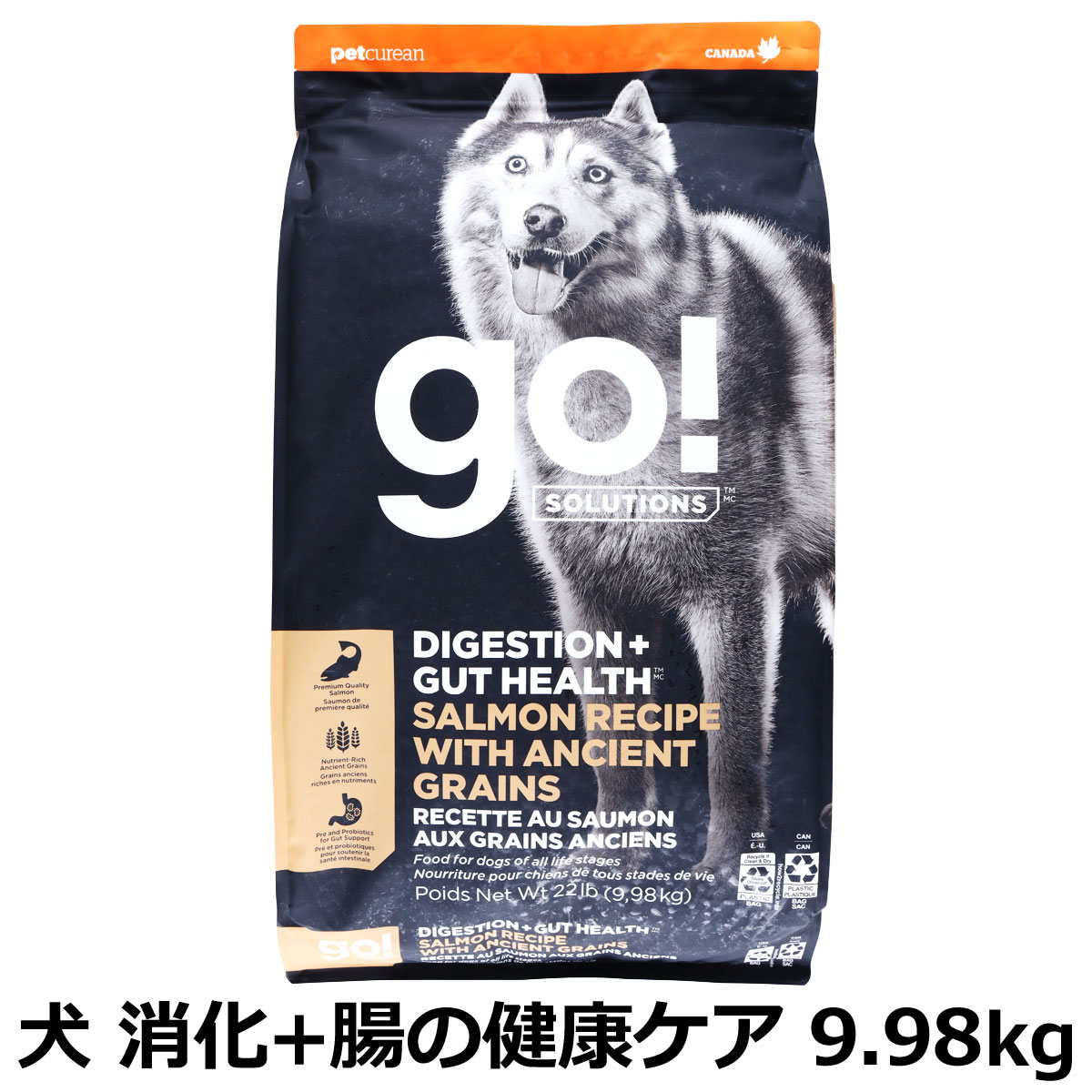 GO! ゴー ソリューションズ 消化+腸の健康ケア 古代穀物 サーモン 9.98kg