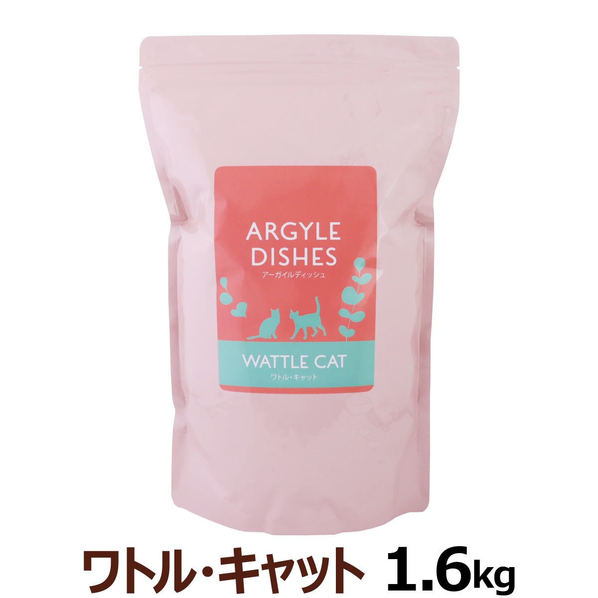 アーガイルディッシュ　ワトルキャット　1.6kg