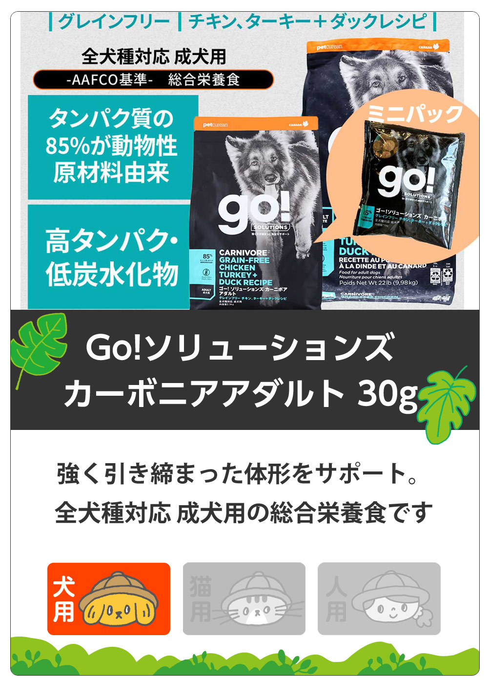 GO! ゴー ソリューションズ カーニボア アダルト　サンプル