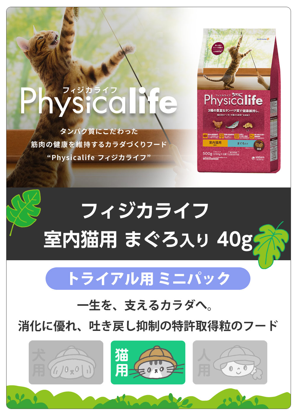 フィジカライフ　Physicalife　室内猫用まぐろ入り　サンプル