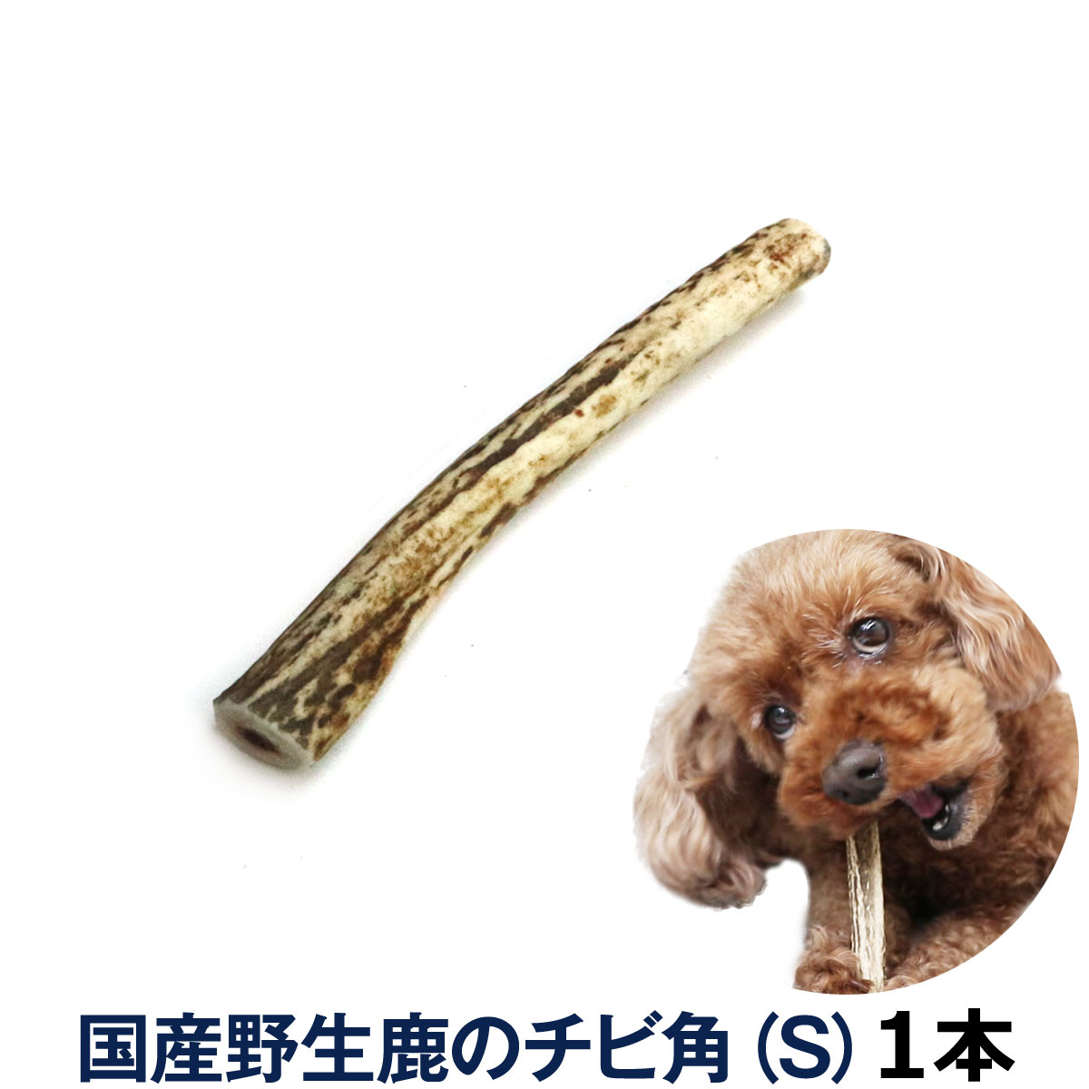 定番 大型犬用 鹿の角 Lサイズ 1本 長さ14〜18cm以下 中型犬 大型犬 犬 おもちゃ デンタルケア 鹿角 国産 rmladv.com.br 定番 大型犬用 鹿の角 Lサイズ 1本 長さ14〜18cm以下 中型犬 大型犬 犬 おもちゃ デンタルケア 鹿角 国産 rmladv.com.br
