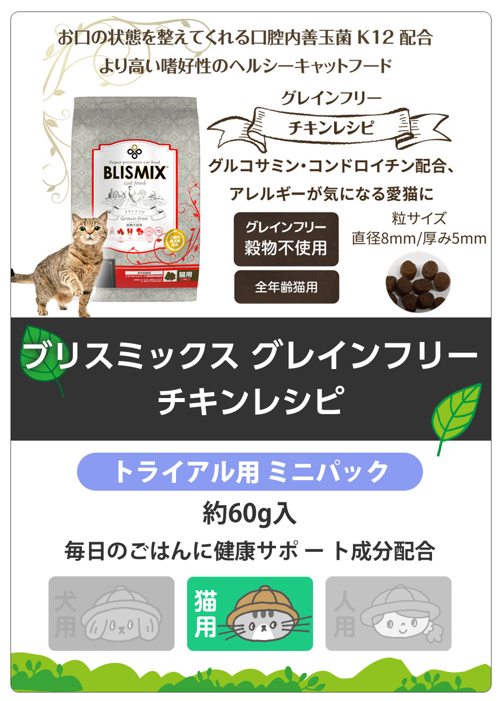 ブリスミックス キャットフードグレインフリー チキン　サンプル