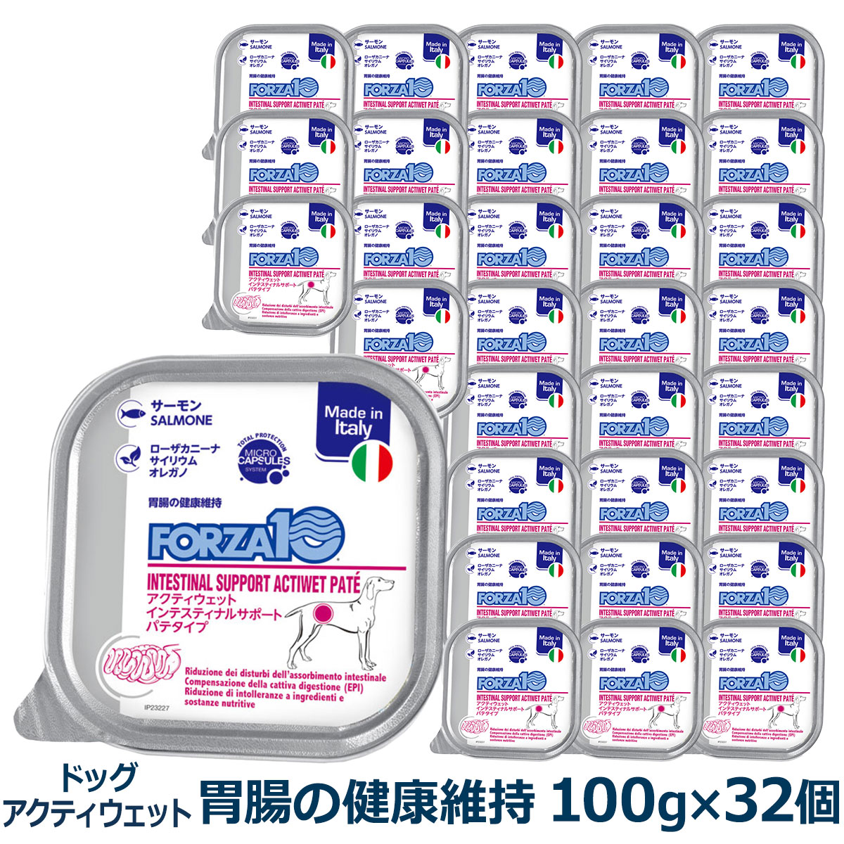 FORZA10　フォルツァディエチ　インテスティナル　アクティウェット　100g×32個